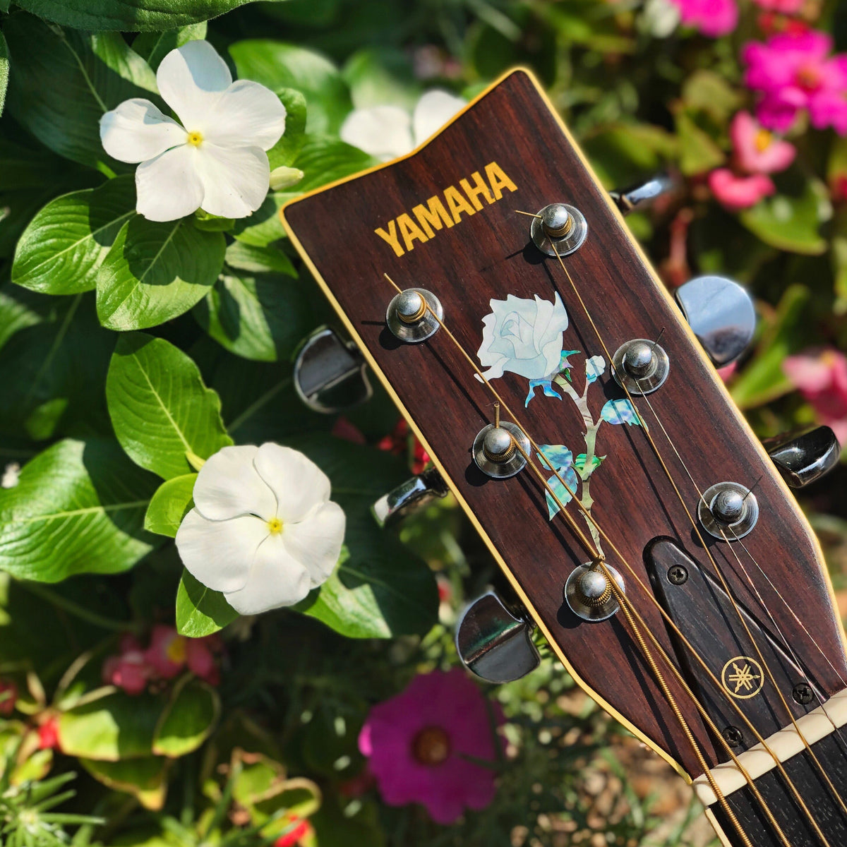 Guitar Headstock Page 2 Inlay Stickers Jockomo