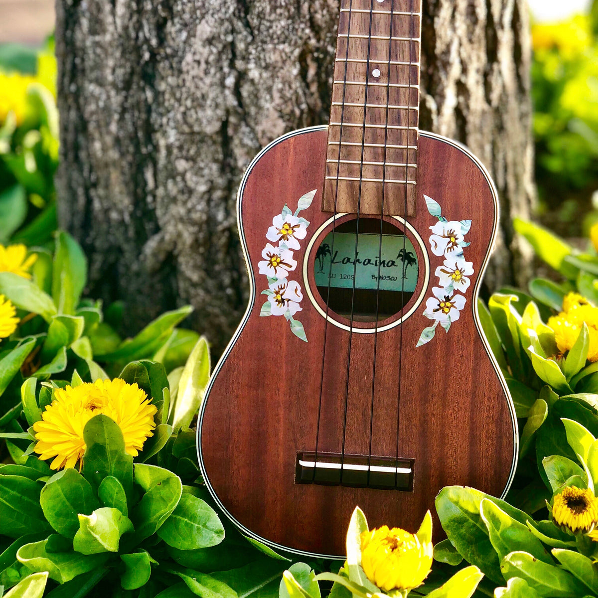 Ukulele Soundhole Inlay Stickers Jockomo