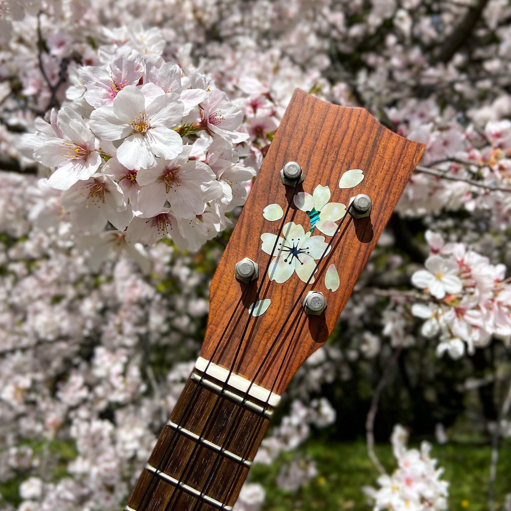 Cherry Blossom / Sakura - Inlay Stickers Jockomo