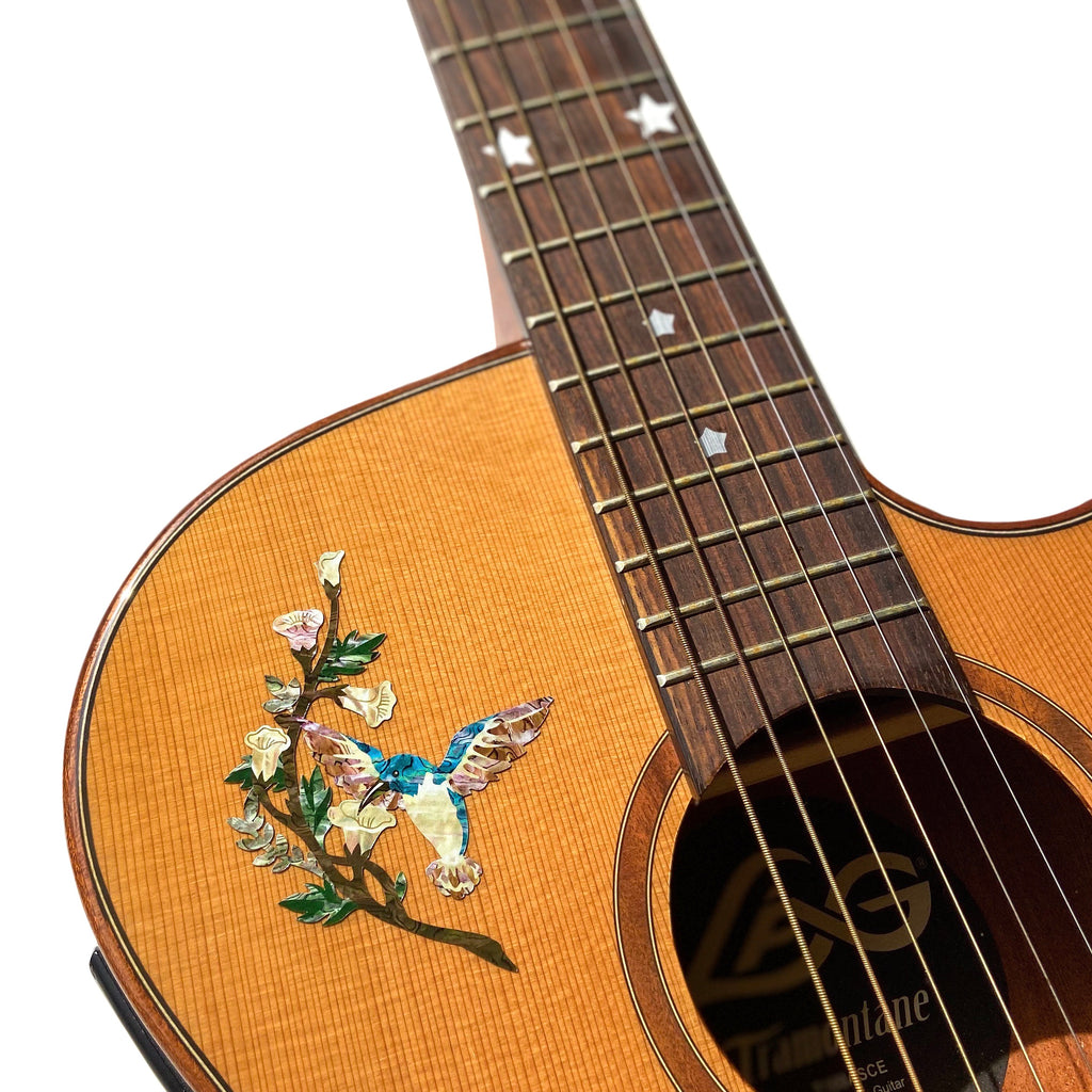 Hummingbirds