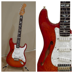 Steve Vai Ibanez JEM / blossom style fret markers for guitars