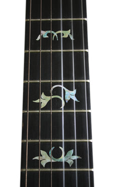 Traditional Taylor style fret markers for both electric & acoustic guitars