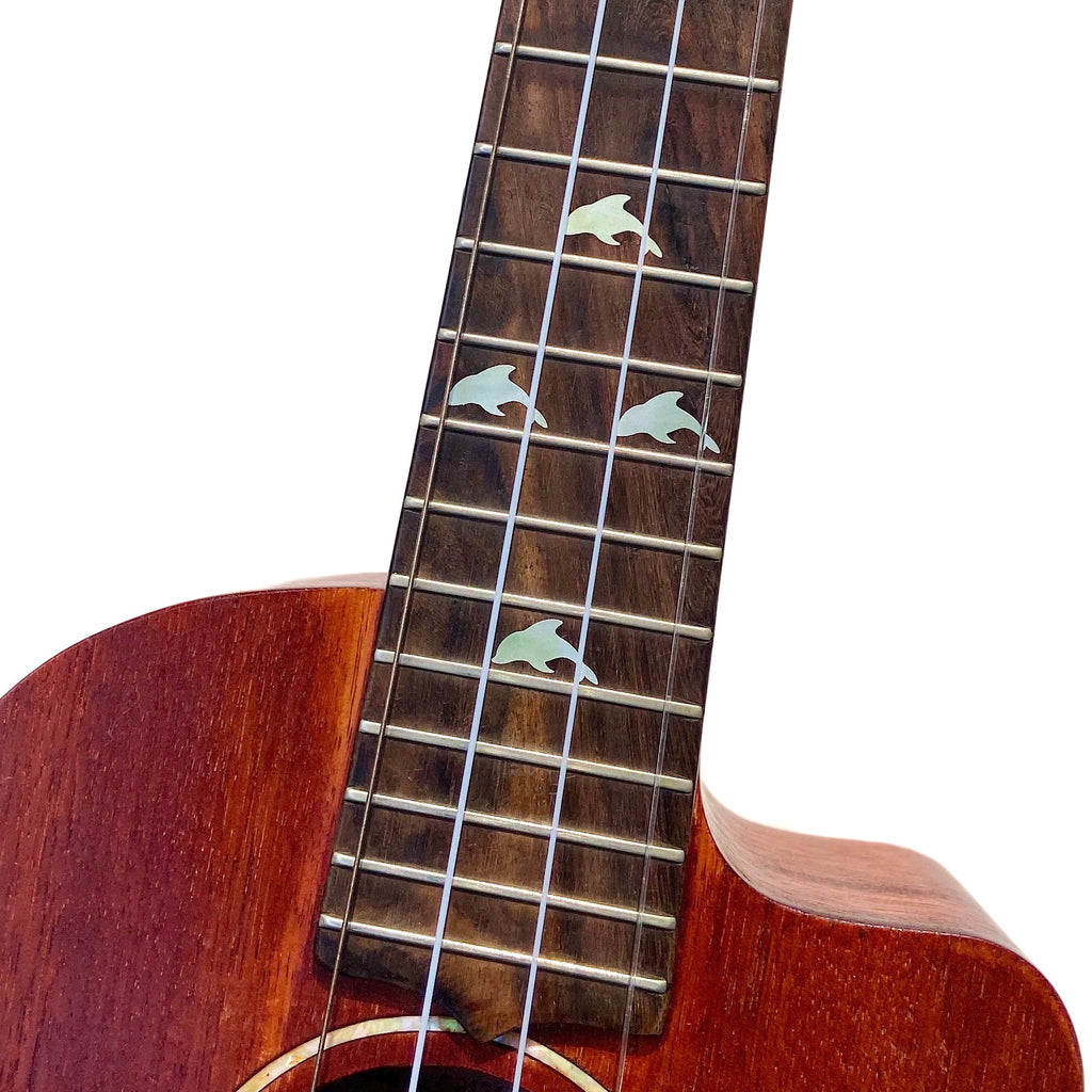 Dolphins Rosetta and Fret Markers / UKR-275DR