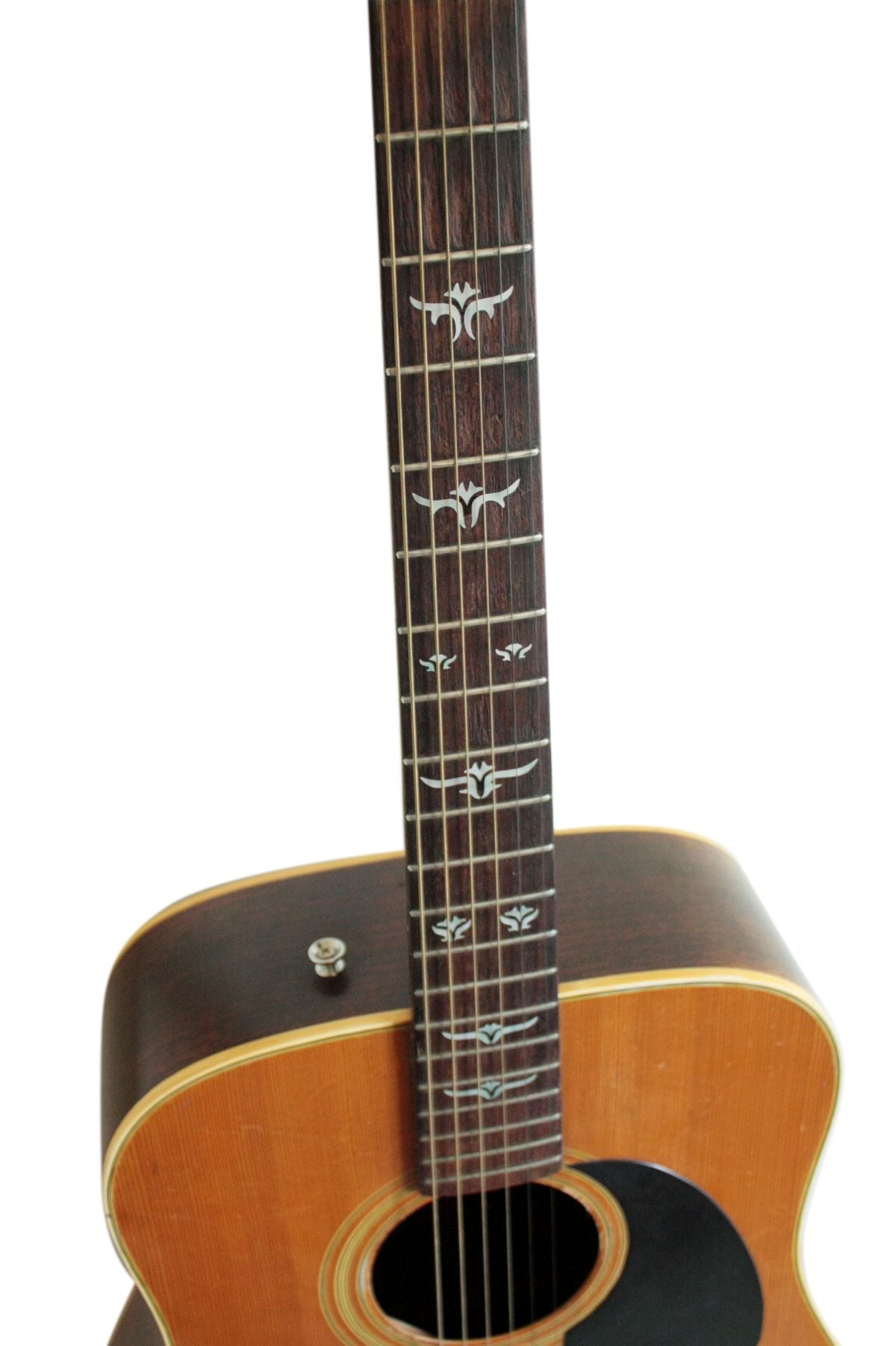 Acoustic guitar with Traditional Taylor T5 style fret markers decal for guitars & bass