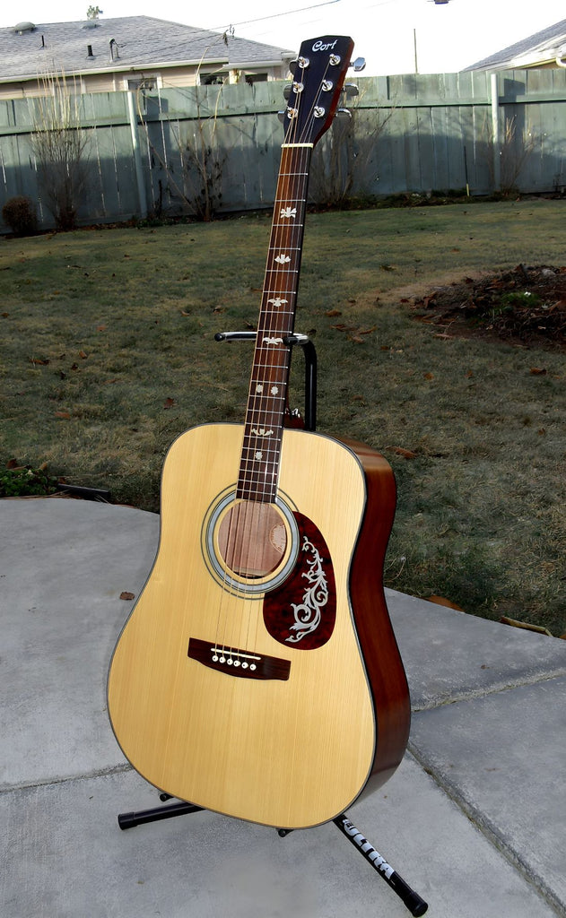 Deluxe#3 - Fret Markers for Guitars / F-002DX-WT