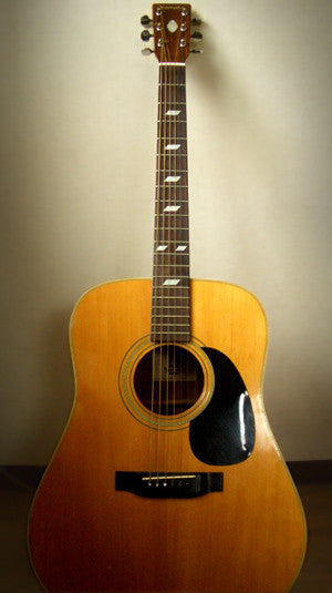 Paul McCartney's Texan - Inlay Stickers Jockomo