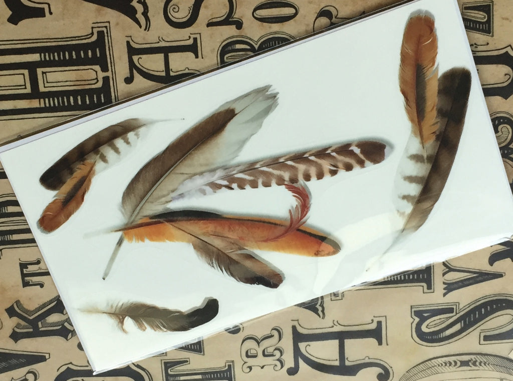 Feathers - Layer Graph Stickers - Inlay Stickers Jockomo