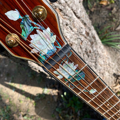 Water Lilies - Inlay Stickers Jockomo