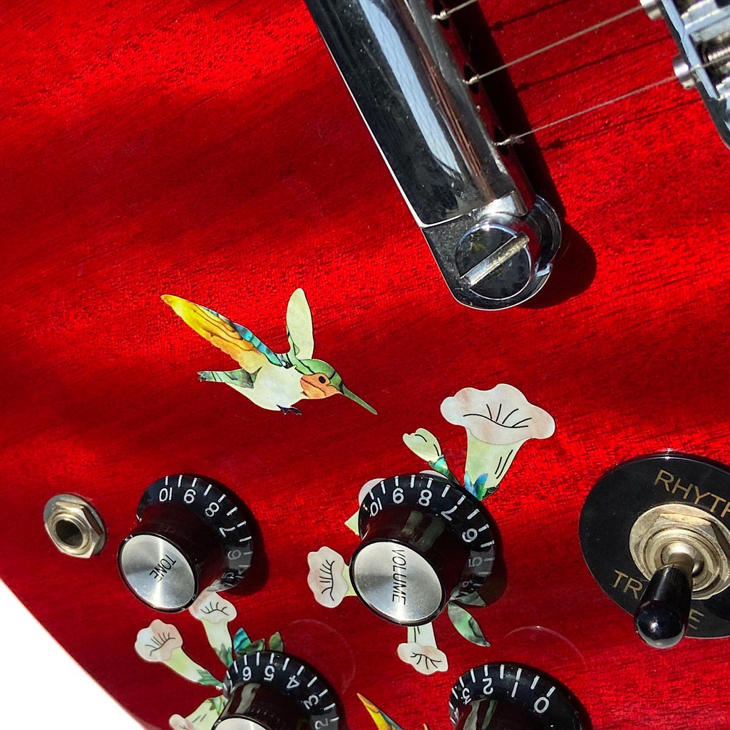 Birds & Blooms (Hummingbirds) - Volume & Tone Knobs Decals - Inlay Stickers Jockomo