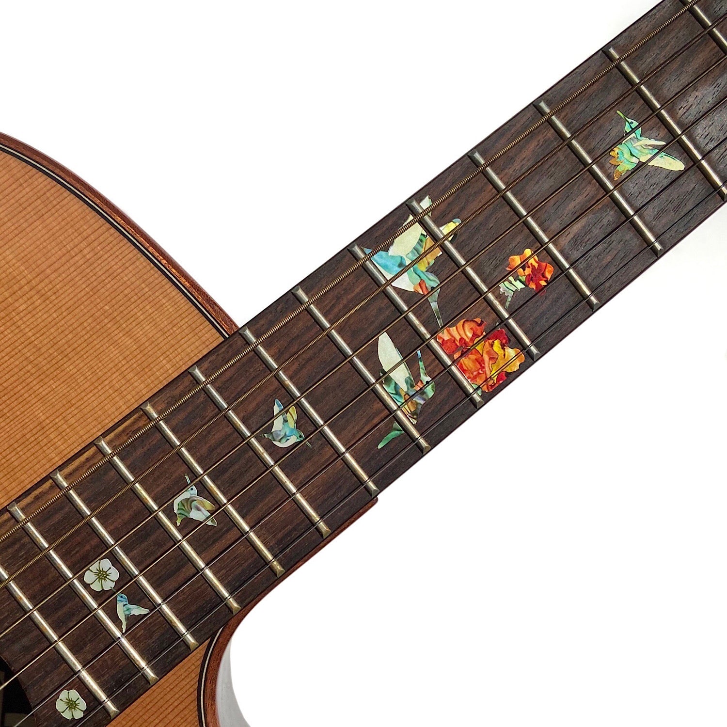 Bee Hummingbirds -  for electric, acoustic & travel 3/4 size guitars & bass