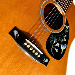 Assorted Hummingbird - Inlay Stickers Jockomo