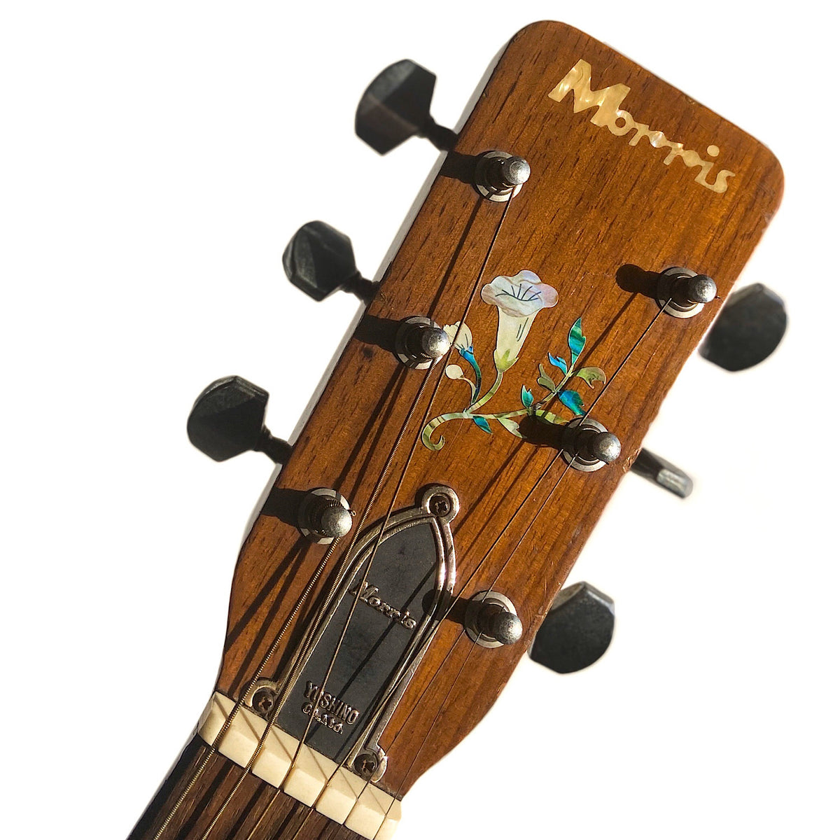Assorted Hummingbird Inlay Stickers for Guitars & Bass