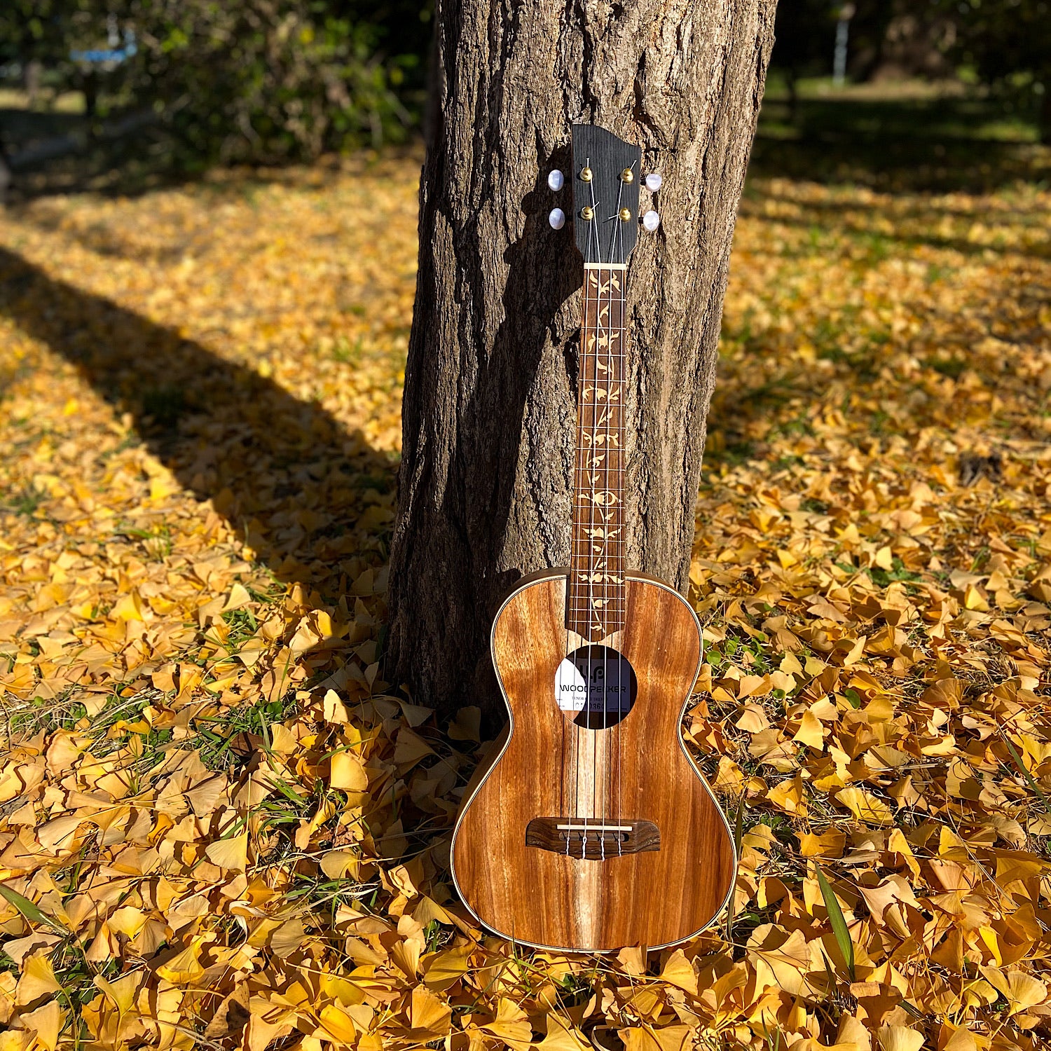 Tree of Life (Wood) - Fret Markers for Ukuleles - Inlay Stickers Jockomo
