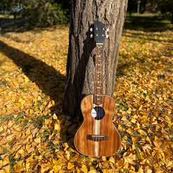 Tree of Life (Wood) - Fret Markers for Ukuleles - Inlay Stickers Jockomo