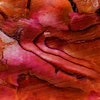 Abalone Red