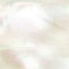 White Pearl